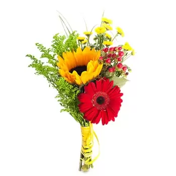 בלארוס פרחים- ריחות גן עדן זר פרחים/סידור פרחים