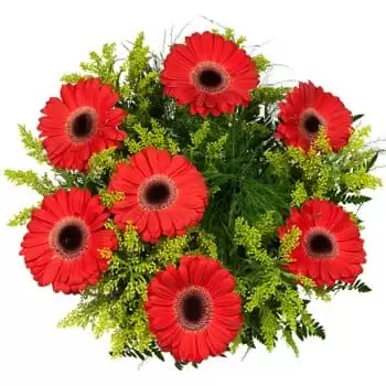 Ambatondrazaka květiny- Úvodní jarní kytice Květ Dodávka