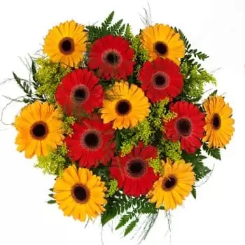 BAcsborsod Blumen Florist- Sonnenschein und Frühlingsstrauß Blumen Lieferung