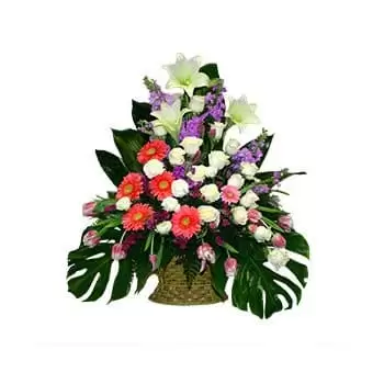 بائع زهور جزيرة آيل أوف مان- القبلات الرقيقة باقة الزهور
