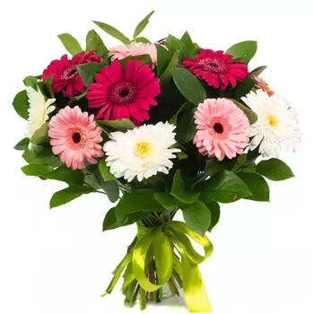 Bakainiai flowers  -  Thank You Flower Delivery