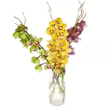 בול פרחים- תצוגת סחלבים מתנשאת פרח משלוח