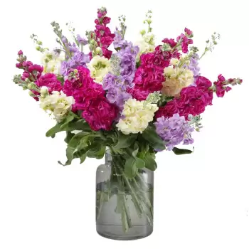 בריסטול פרחים- פריחה יפה זר פרחים/סידור פרחים