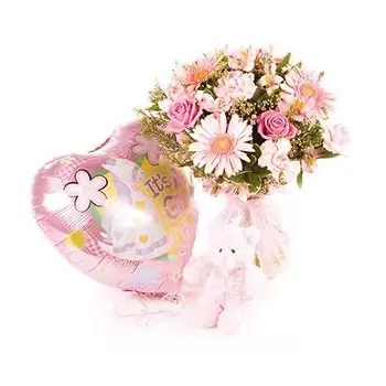 לידס פרחים- תינוקות בלום זר פרחים/סידור פרחים