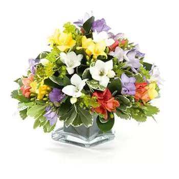 Aberdeen květiny- Barevné uspořádání kostek 