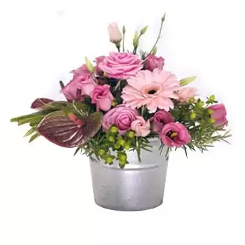 Bristol kvety- Pinky potešenie Aranžovanie kytice