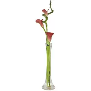 맨체스터 꽃- 현대 칼라 릴리 꽃다발/꽃꽂이