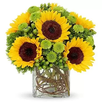 بائع زهور كليفلاند- لمسة من أشعة الشمس باقة الزهور