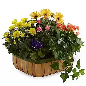 Los Angeles flowers  -  Blossoming Basket Flower Bouquet/Arrangement