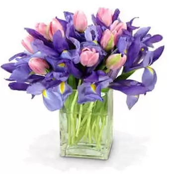 flores de Raleigh- Bouquet Surprise Bouquet/arranjo de flor