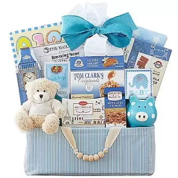 Colorado Springs flowers  -  Celebrate New Life Gift Basket (Boy) Flower Delivery
