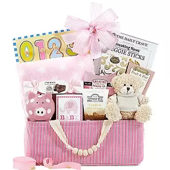 Los Angeles flowers  -  Celebrate New Life Gift Basket (Girl) Flower Delivery