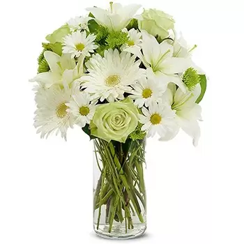 Οροπέδιο λουλούδια- Λευκό μητρώο Μπουκέτο/ρύθμιση λουλουδιών