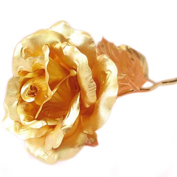 flores de El Paso- Anos dourados Flor Entrega
