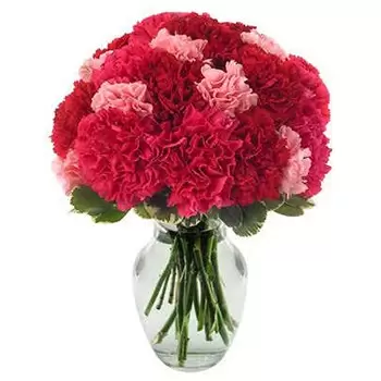 Houston flowers  -  Hot Carnations Flower Bouquet/Arrangement