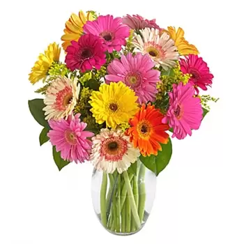 Indianapolis Blumen Florist- Liebes-Explosions-Blumenstrauß Bouquet/Blumenschmuck