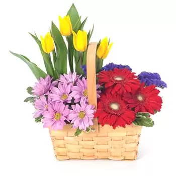 Boston flowers  -  Meadow Basket Flower Bouquet/Arrangement