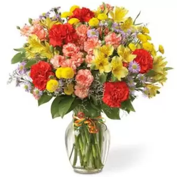 Austin flowers  -  Merry Morning with Alstromeria and Carnations Flower Bouquet/Arrangement