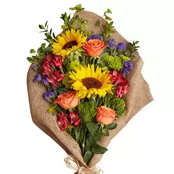 بائع زهور كولومبوس- فرحة الصباح باقة الزهور