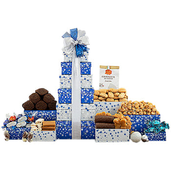Downey flowers  -  Snowy Tower Gift Collection Flower Delivery