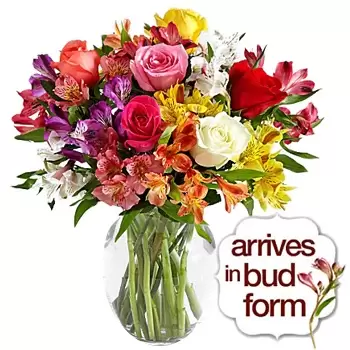 Albuquerque λουλούδια- Ήλιος Γλυκό φιλιά Μπουκέτο/ρύθμιση λουλουδιών