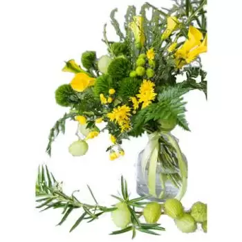 Ait Yahia kwiaty- Djurdjura ( Djurdjura ) Kwiat Dostawy