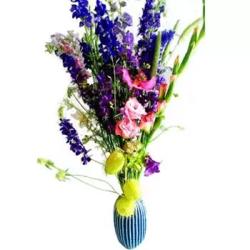 אמרנס פרחים- ציפור כחולה פרח משלוח