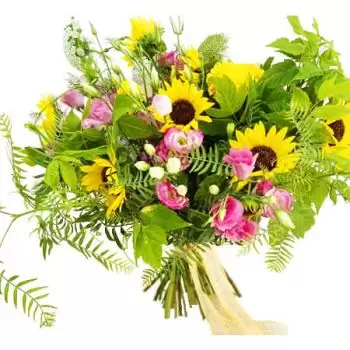 Okręg wyborczy Birkhadem kwiaty- Letni klimat Kwiat Dostawy