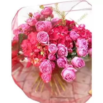 بائع زهور أكرو- يوم المرأة زهرة التسليم