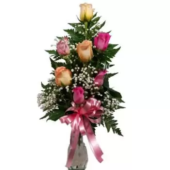 Уитфилд Таун цветы- 6 РОЗ РАСПОЛОЖЕНИЕ Цветок Доставка