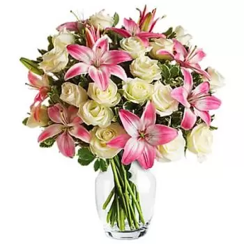 סידני פרחים- תמיד גבירה פרח משלוח
