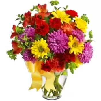 Lendore Village flowers  -  COLOUR ME YOURS Flower Delivery