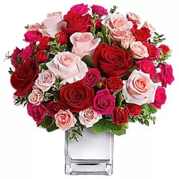 Μπέθελ Τάουν λουλούδια- ΑΓΆΠΗ MEDLEY Λουλούδι Παράδοση