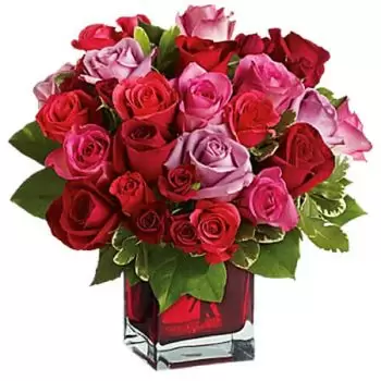 גבהים של גואנפו פרחים- MADLY IN BOOQUET BOCKET פרח משלוח