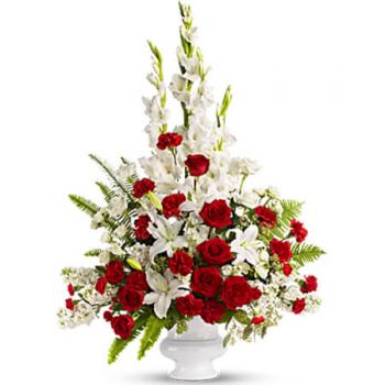 Buff Zátoka květiny- VZPOMÍNKY NA POKLAD Kytice/aranžování květin