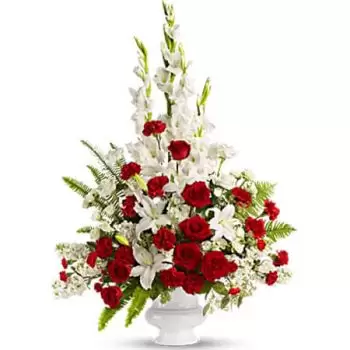 Ιαμαϊκή λουλούδια- ΑΝΑΜΝΉΣΕΙς ΣΤΟ ΘΗΣΑΥΡΌ Λουλούδι Παράδοση