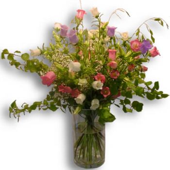 ז'נבה פרחים- קבוע פרח משלוח