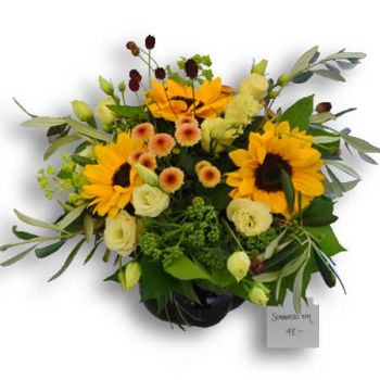 Geneve λουλούδια- Ηλιοφάνεια Λουλούδι Παράδοση
