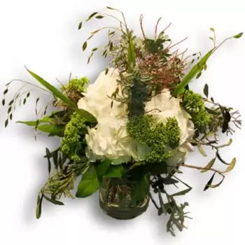 بائع زهور جنيف- حلم هيدرانجيا زهرة التسليم