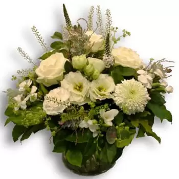 بائع زهور جنيف- حلم باللون الأبيض زهرة التسليم