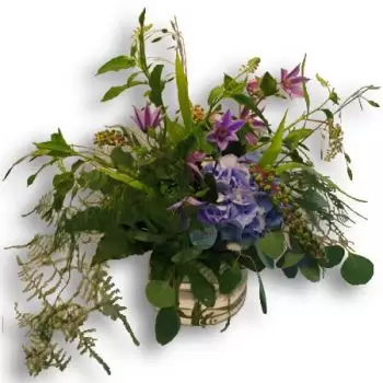 Geneve Blumen Florist- Mind Blowing