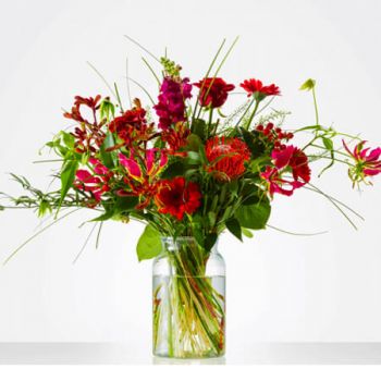 所有其他城市花束丰富红色 令人愉快的红斯内德龙和玫瑰 鲜花递送所有其他城市 网上花店所有其他城市