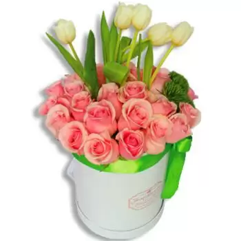 בייקון פרחים- יופי שובה לב פרח משלוח