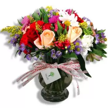 San Juan flowers  -  Kiss from spring Flower Delivery
