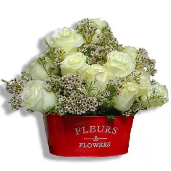 San Juan online Florist - Snowflakes Bouquet