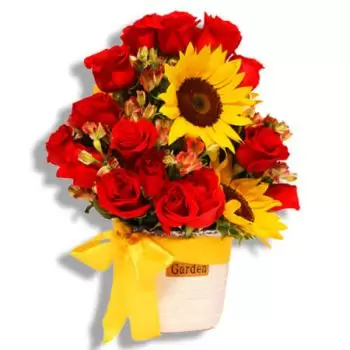 بائع زهور سان خوان- دع الشمس في قلبك زهرة التسليم