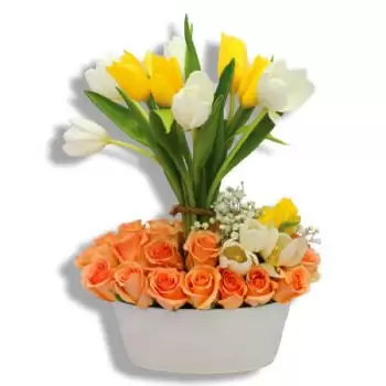 San-Lorenzo bunga- Kebahagiaan sengit Bunga Penghantaran