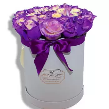 קאננובאנס פרחים- פרחים תוססים פרח משלוח