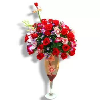 San Juan online Florist - Cheers for roses Bouquet