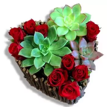 Puerto Rico flowers  -  The beauty and the beast Flower Delivery